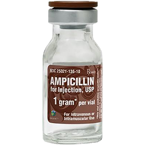 AMPICILLIN
